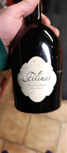 Languedok Languedoc Félines 2018