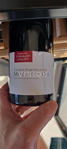 Burgundi E paspecifikuar Premier Cru Domaine Theulot Juillot Champs Martins 2020