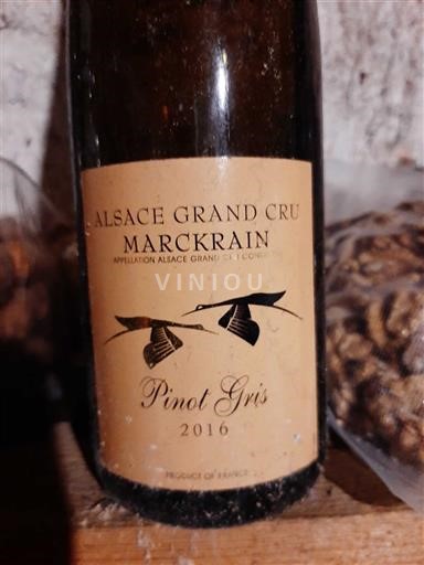 Wijnen Blanc sec Pinot Gris 2016 Frankrijk Elzas Niet gespecificeerd AOC Grand Cru