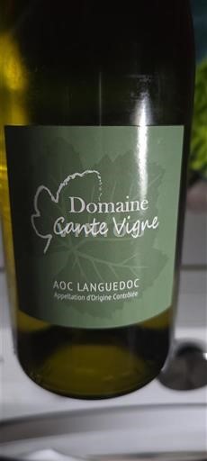 Languedoc Domaine Cante Vigne 2023