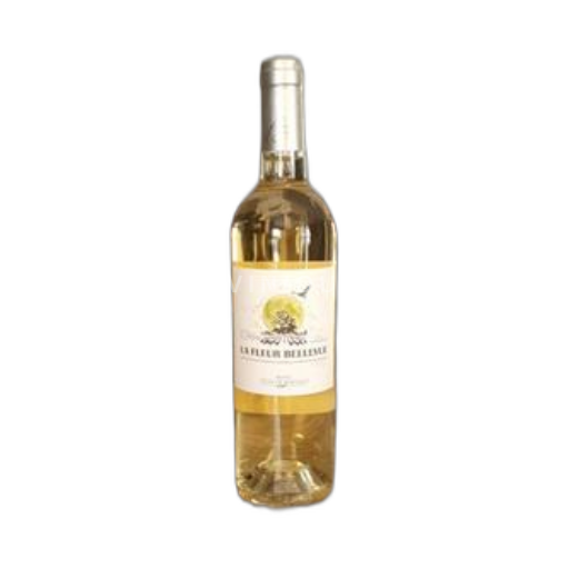 Bordeaux Blaye-côtes-de-bordeaux Chateau La Fleur Bellevue 2023
