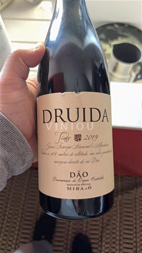 Portugal Dão Mira do Ó Druida 2019