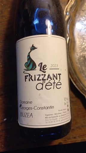 Lugina e Luarës E paspecifikuar Domaine Georges-Constantin Le Frizzant d'été 2023