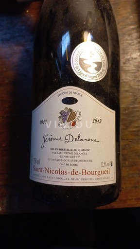 Вина Rouge sec Jérôme Delanoue 2019 Francuska Dolina Loare Сен-Никола-дe-Бургeј AOC