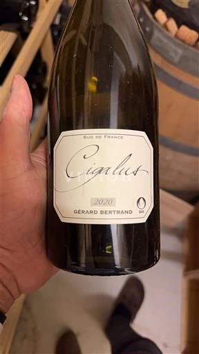 Verërat Blanc sec Cigalus Gérard Bertrand 2020 Francë Languedok E paspecifikuar AOC
