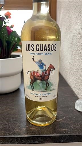 Lugina e Maipos Maipo Central Los Guasos 2021