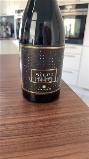 Wines Rouge sec Silei Terrescure 2022 Italy Tuscany Not Specified DOC