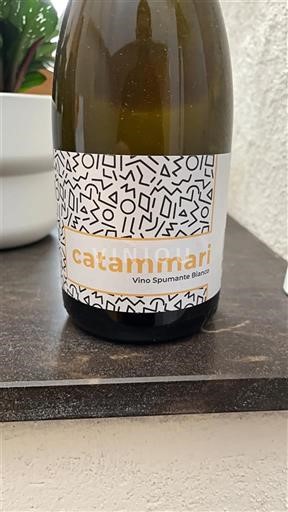 Penušava vina Blanc extra-sec Catammari 2024 Italija Сицилија Nespecificirano DOC