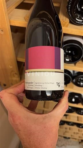 Thurgau Weingut Michael Broger Schnellberg 2022