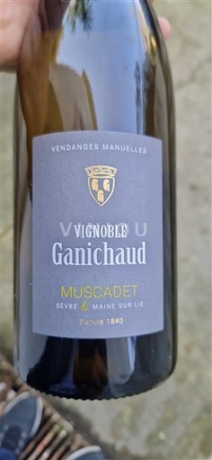Lugina e Luarës E paspecifikuar Vignoble Ganichaud Jo Viti