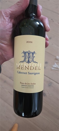 Мендоза Mendel 2024