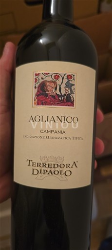 Kampanija Nespecificirano Terredora Di Paolo 2020