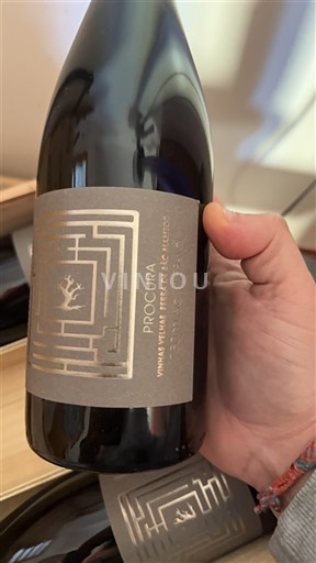 Portugal Vinho verde Procura 2019