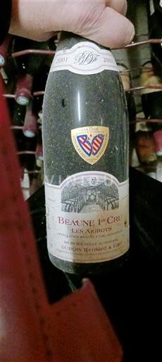 Burgund Beaune Premier Cru Dubreuil-Fontaine Les Aigrots 2001