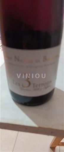 Lugina e Luarës Anžu Les Noëls de Montbenault Les 3 Terroirs Jo Viti