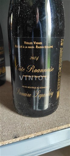 Lugina e Luarës Côte-roannaise Domaine Lapandéry Vieilles Vignes 2021