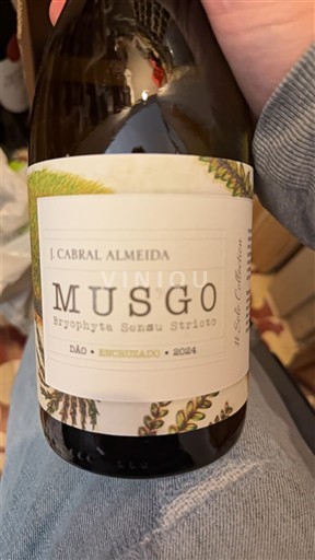 Portugal Dão J. Cabral Almeida Musgo 2024