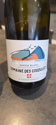 Savoie dhe Bugej Savoie Domaine Cordulies 2024