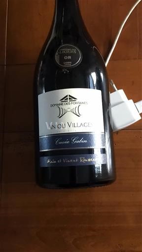 Dolina Loare Анжу Вилаж Domaine Fontaines Galin 2022