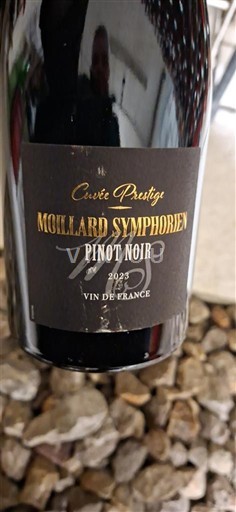 Burgund Moillard Symphorien Prestige 2023
