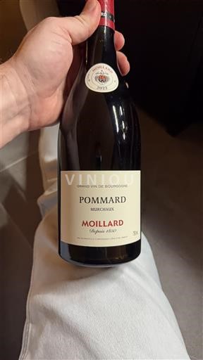 Вина Rouge sec Meurchaux Moillard 2022 Francuska Burgundija Pommard AOC