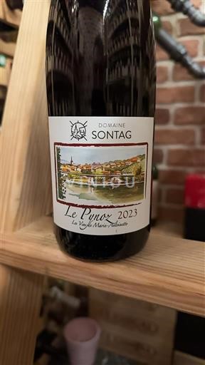 Alsace Domaine Sontag Le Pynoz 2023