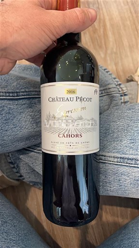 Sudoeste Cahors Château Pécot Expression 2016