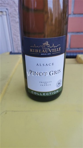 Алзас Пино гри Ribeauvillé Collection 2018