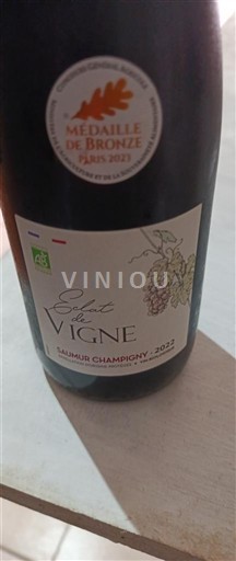 Loiredalen Saumur-Champigny Esprit de la Vigne 2022