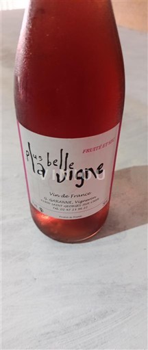 Lugina e Luarës G. Garanne La Plus Belle Vigne Jo Viti