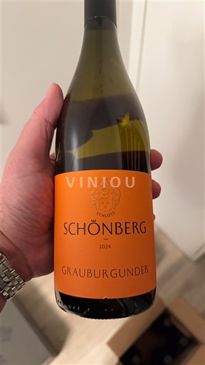 Viner Blanc sec Schloss Schönberg 2024 Tyskland Baden