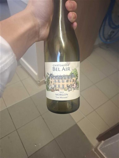 Божоље Моргон Château Bel Air Les Micouds 2021