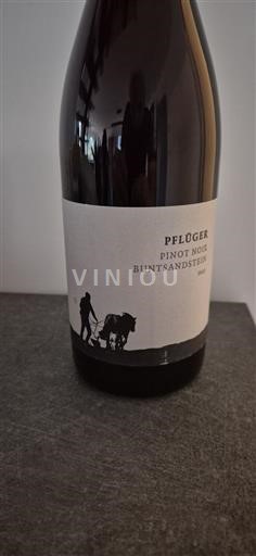Вина Rouge sec Pinot Noir Buntsandstein Pflüger 2023 Nemačka Pfalz Pfalц