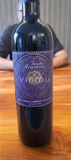 Wines Rouge sec Feudo Arancio 2017 Italy Sicily DOC