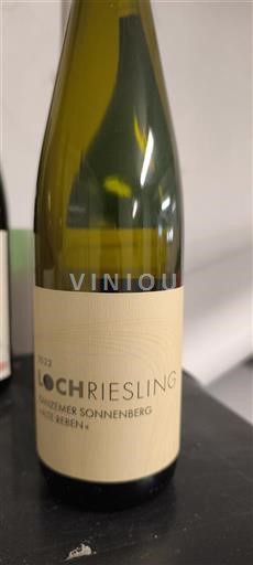 Vine Blanc sec Loch 2022 Tyskland Mosel Ikke specificeret