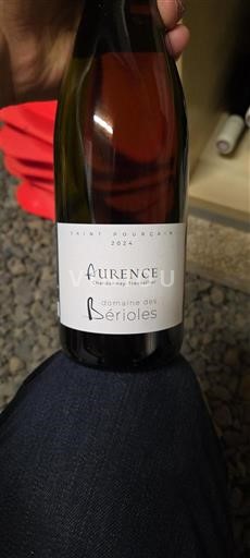 Вина Blanc sec Aurence Domaine Bérioles 2024 Francuska Dolina Loare Сен-Пурсен AOC