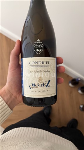 Vine Blanc sec Les Grandes Chaillées Domaine Monteillet 2023 Frankrig Rhône-dalen Condrieu AOC