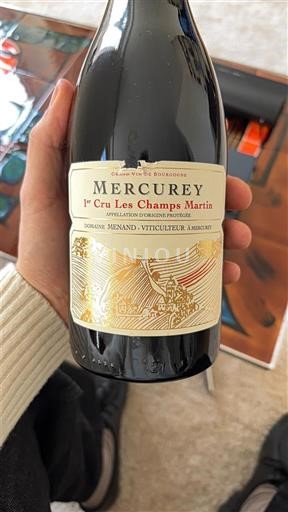 Viinit Rouge sec 1er Cru Les Champs Martin Domaine Menand 2022 Ranska Burgundi Mercurey AOC Premier Cru