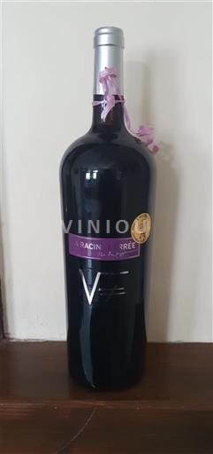 Linguadoca e Rossiglione Paese d'Oc Vigne Vincent A Racine Entière Senza annata