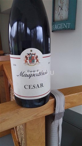 Burgundi Domaine Mauperthuis César 2018