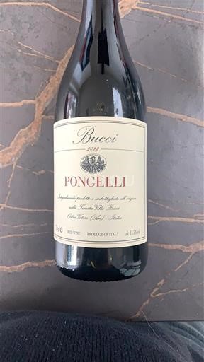 Marke Rosso Piceno Bucci Pongelli 2022