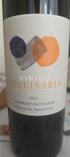 Dolina Maipo Маипо Централ Coquinaria 2023