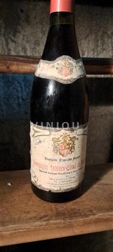 Burgund Hautes Côtes de Beaune Domaine Guyon Frères 2001