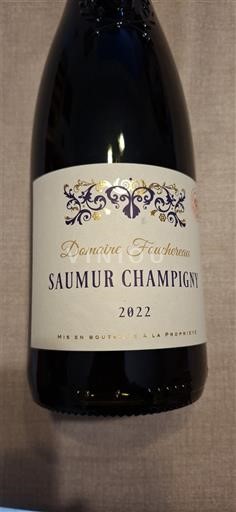 Lugina e Luarës Saumur-champigny Domaine Foucheroux 2022
