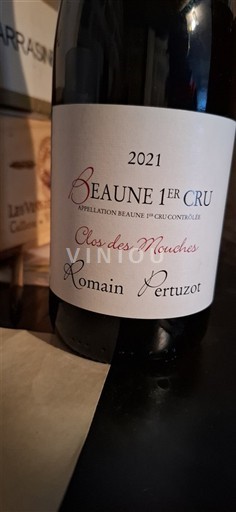 Burgundi E paspecifikuar Premier Cru Romain Pertuzot Clos des Mouches 2021