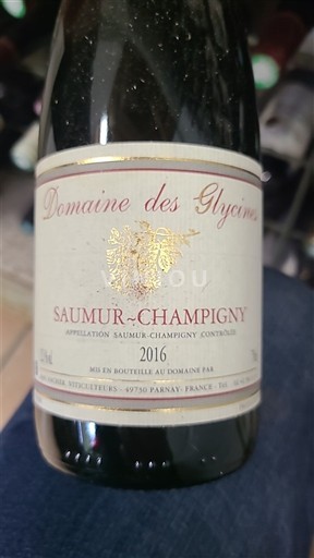 Lugina e Luarës Saumur-champigny Domaine Glycines 2016