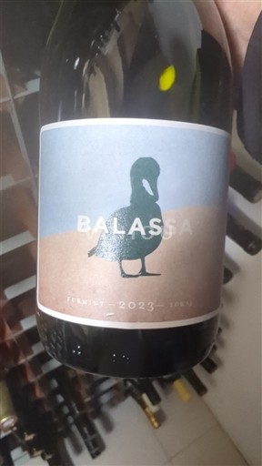 Wines Blanc sec Balassa 2023 Hungary Tokaj Not Specified