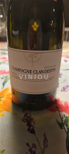Champagne Clan Destin 2022