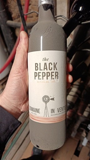 Viner Rouge sec The Black Pepper Domaine In Ventis 2023 Frankrike Languedoc AOC