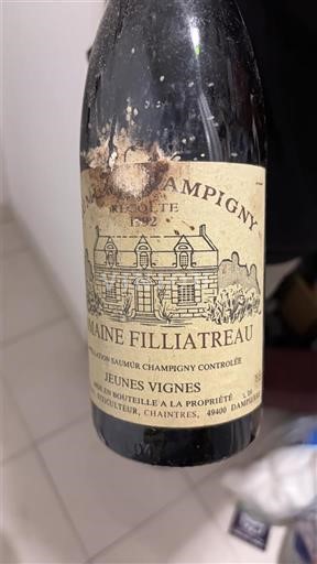 Lugina e Luarës Saumur-champigny Domaine Filliatreau Jeunes Vignes 1992